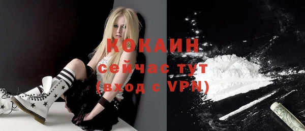 эйфоретик Пересвет