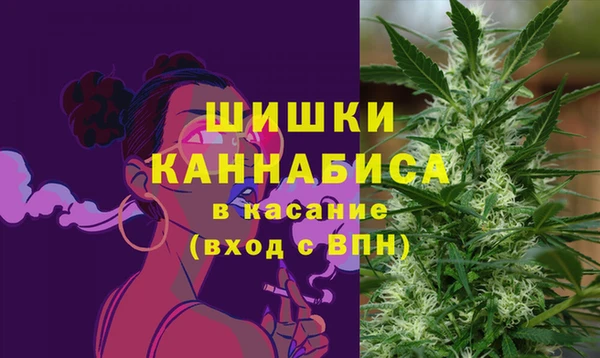 эйфоретик Пересвет