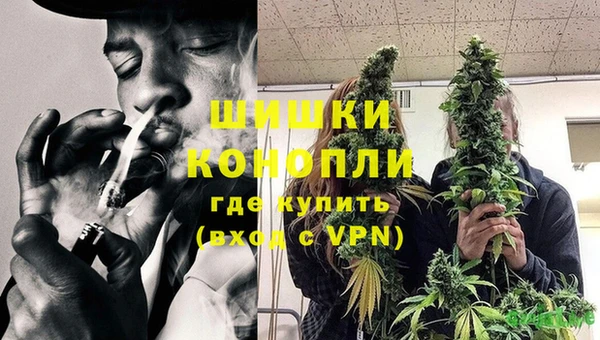 PSILOCYBIN Пестово